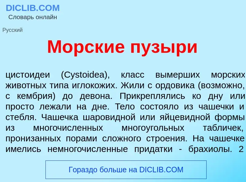 Che cos'è Морск<font color="red">и</font>е пузыр<font color="red">и</font> - definizione