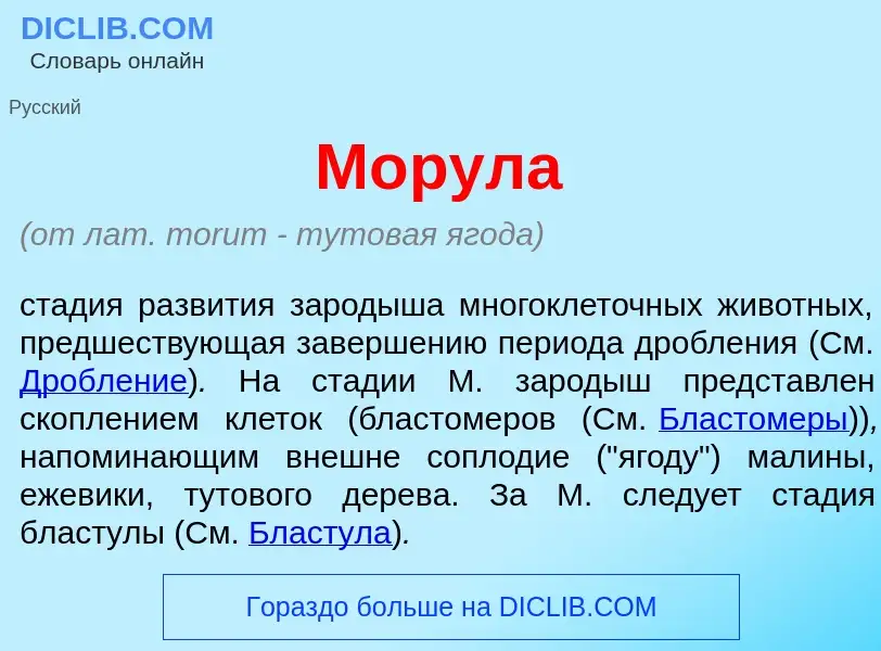 What is М<font color="red">о</font>рула - meaning and definition