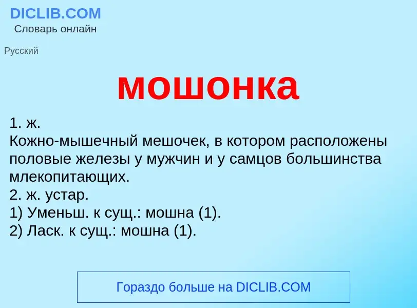 What is мошонка - definition