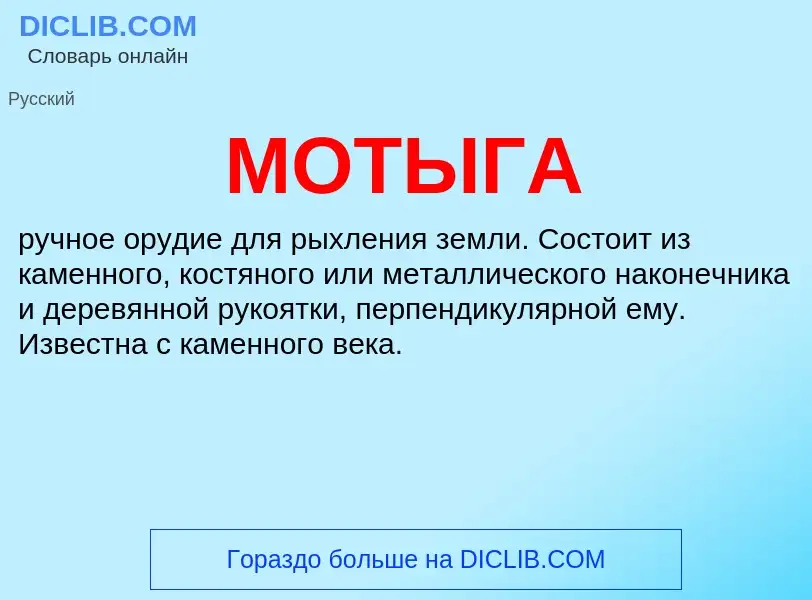 Wat is МОТЫГА - definition