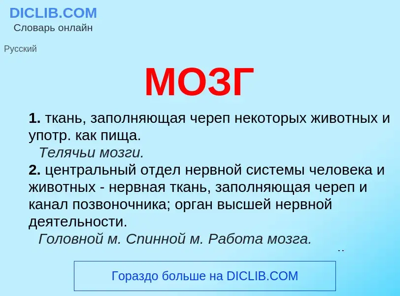 Что такое МОЗГ - определение