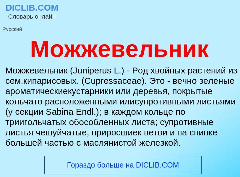 ¿Qué es Можжевельник? - significado y definición