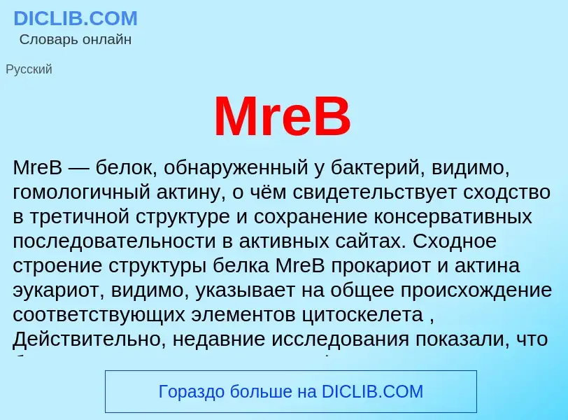 Что такое MreB - определение