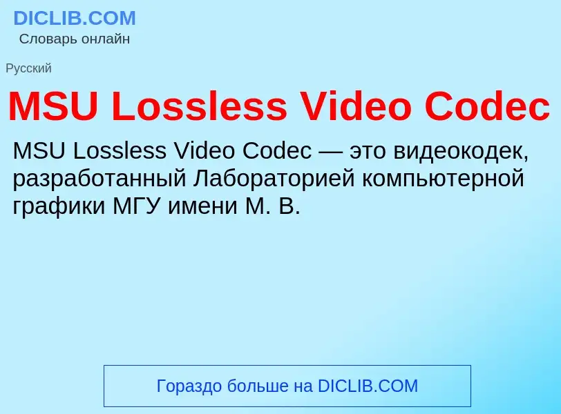 Che cos'è MSU Lossless Video Codec - definizione