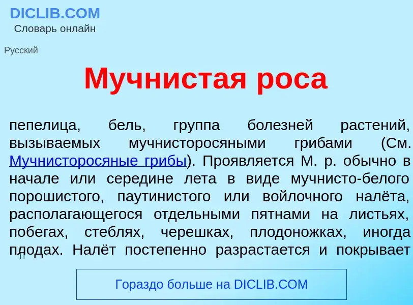 Qu'est-ce que Мучн<font color="red">и</font>стая рос<font color="red">а</font> - définition