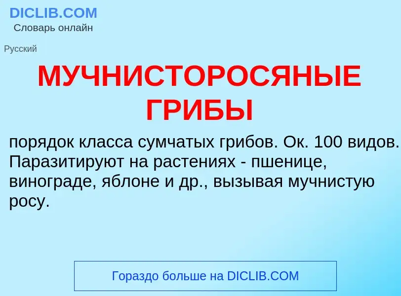 What is МУЧНИСТОРОСЯНЫЕ ГРИБЫ - definition