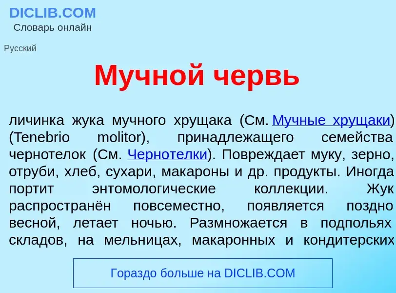 Wat is Мучн<font color="red">о</font>й червь - definition