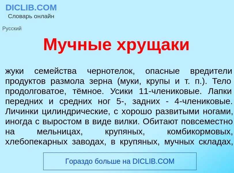 Was ist Мучн<font color="red">ы</font>е хрущак<font color="red">и</font> - Definition