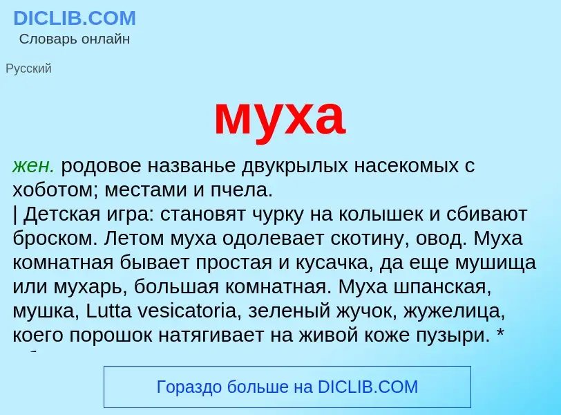 Wat is муха - definition