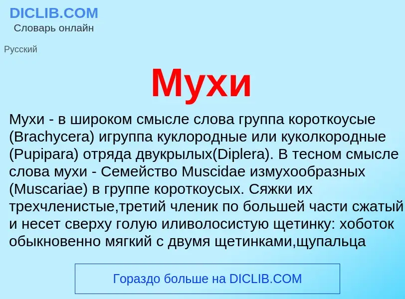 What is Мухи - definition