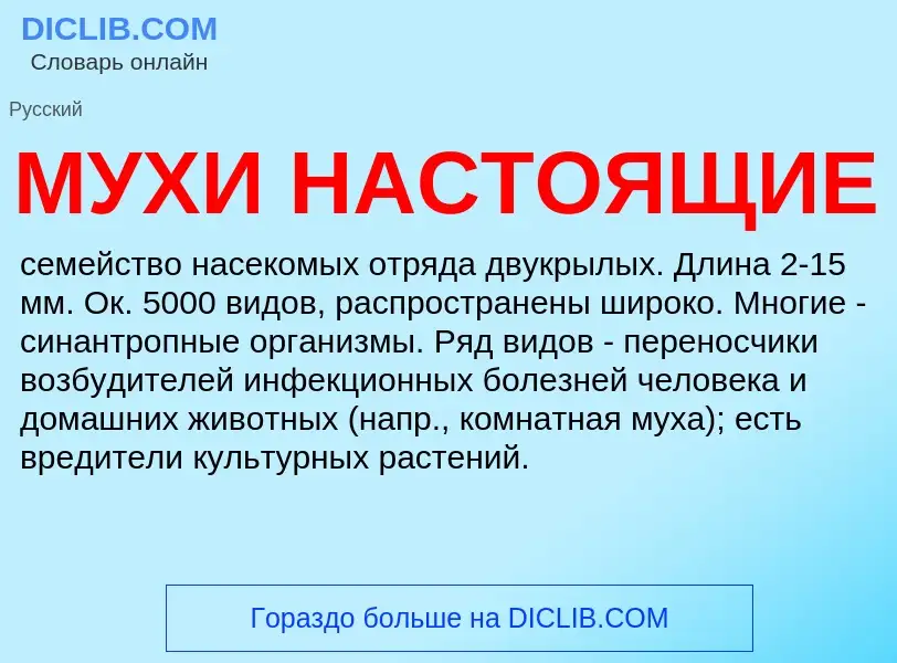 Что такое МУХИ НАСТОЯЩИЕ - определение