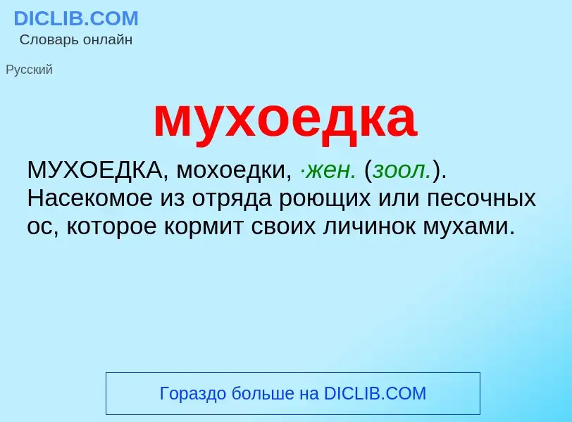 ¿Qué es мухоедка? - significado y definición