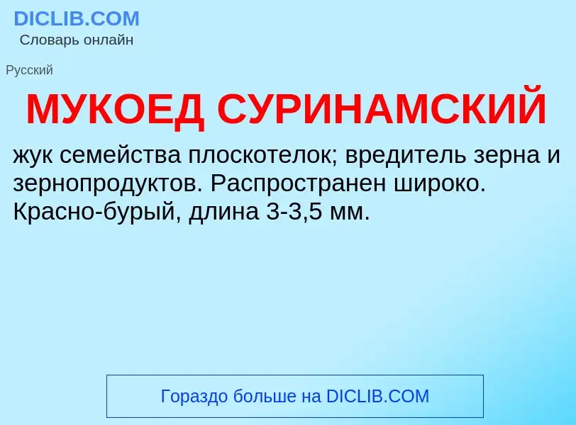 O que é МУКОЕД СУРИНАМСКИЙ - definição, significado, conceito