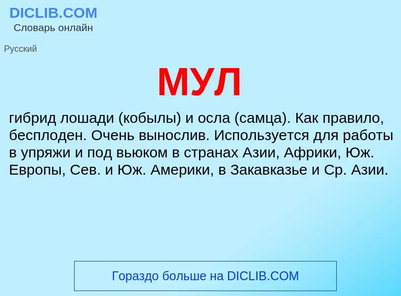 What is МУЛ - definition