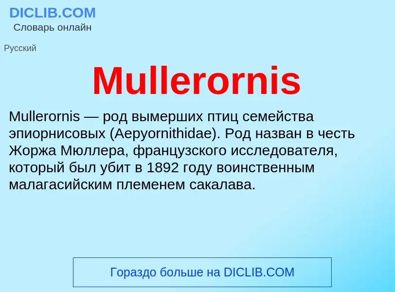 Was ist Mullerornis - Definition