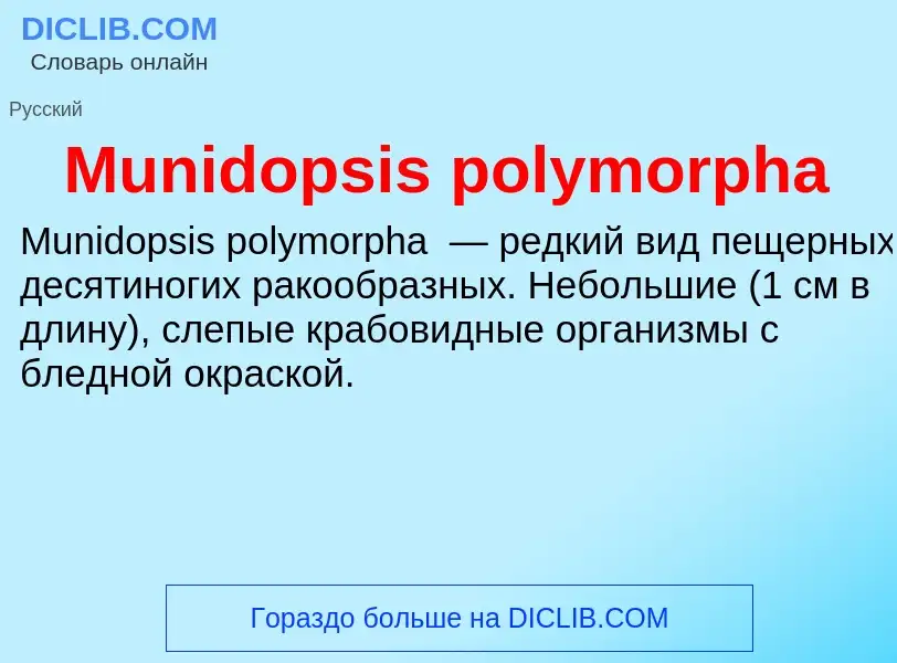 Что такое Munidopsis polymorpha - определение