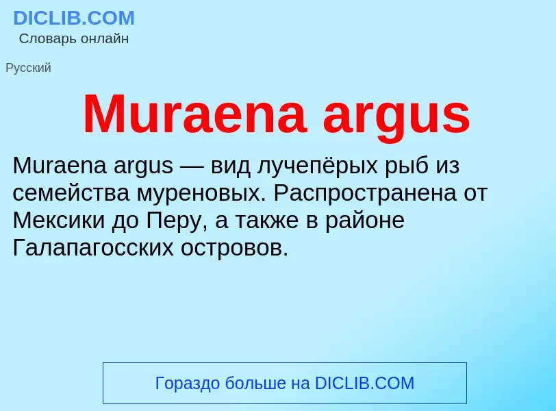 Что такое Muraena argus - определение