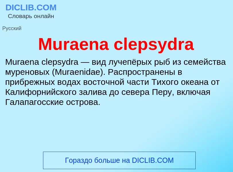 Что такое Muraena clepsydra - определение