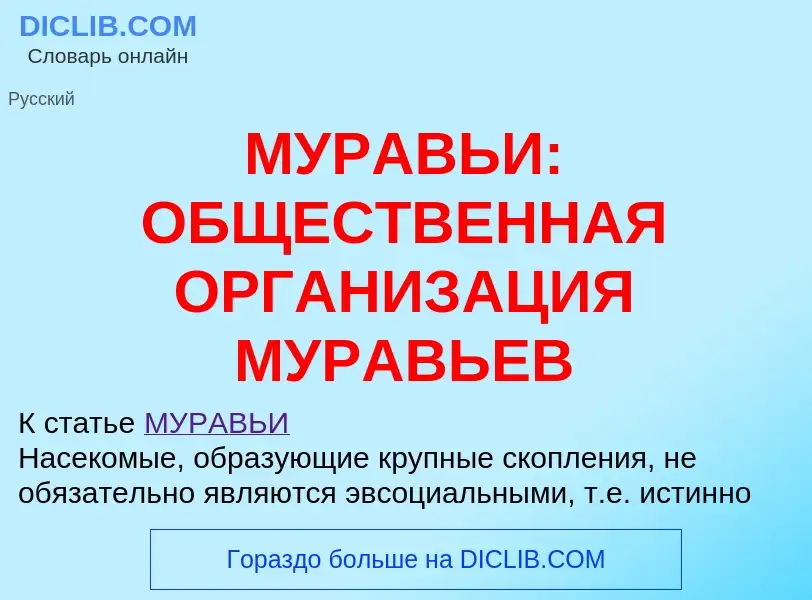 Что такое МУРАВЬИ: ОБЩЕСТВЕННАЯ ОРГАНИЗАЦИЯ МУРАВЬЕВ - определение