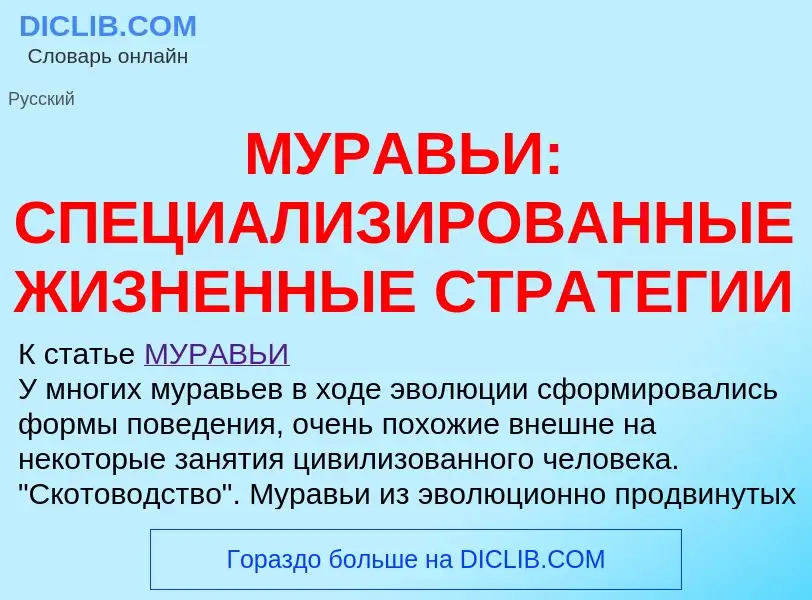 Что такое МУРАВЬИ: СПЕЦИАЛИЗИРОВАННЫЕ ЖИЗНЕННЫЕ СТРАТЕГИИ - определение