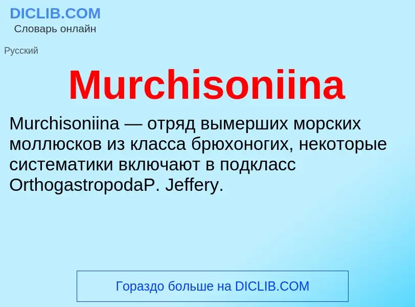 Что такое Murchisoniina - определение