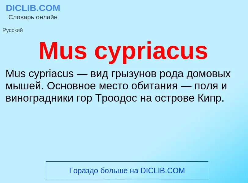 Was ist Mus cypriacus - Definition