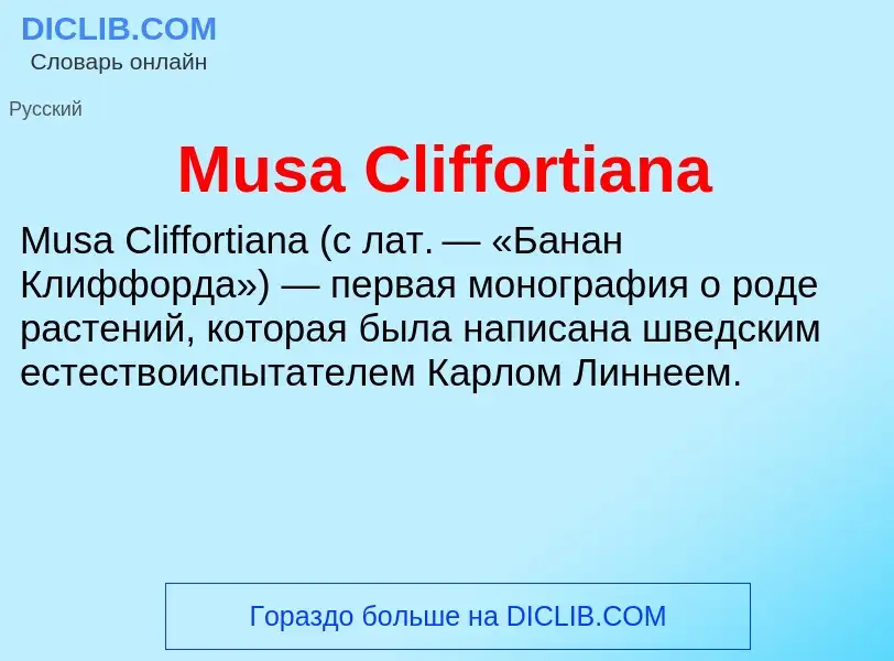 Was ist Musa Cliffortiana - Definition