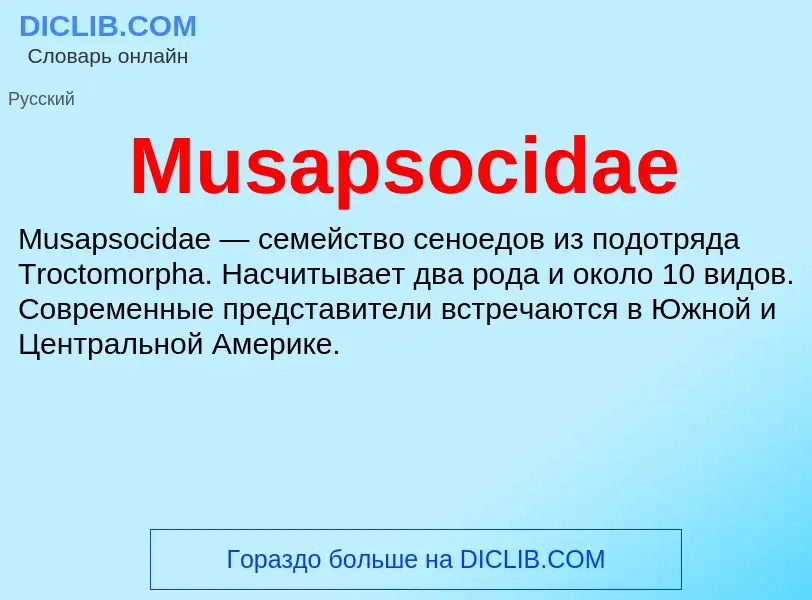 Что такое Musapsocidae - определение