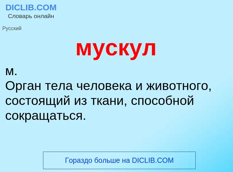 Что такое мускул - определение