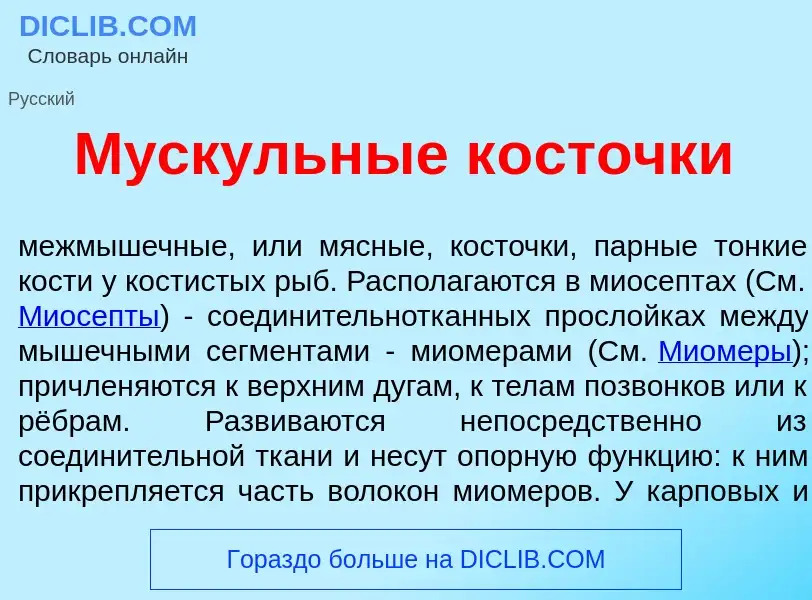 Что такое М<font color="red">у</font>скульные к<font color="red">о</font>сточки - определение