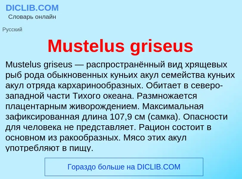 Что такое Mustelus griseus - определение