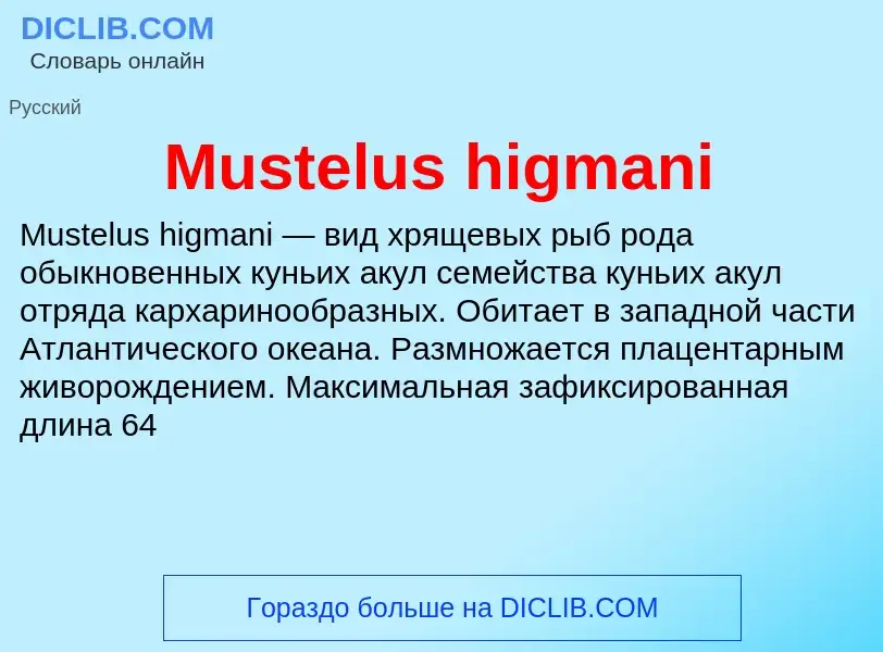 Что такое Mustelus higmani - определение