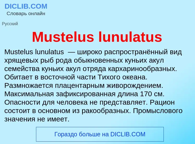 Что такое Mustelus lunulatus - определение