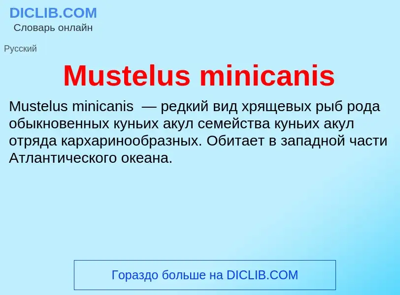 Что такое Mustelus minicanis - определение