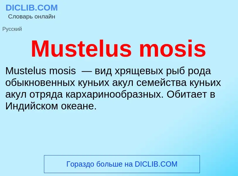 Что такое Mustelus mosis - определение