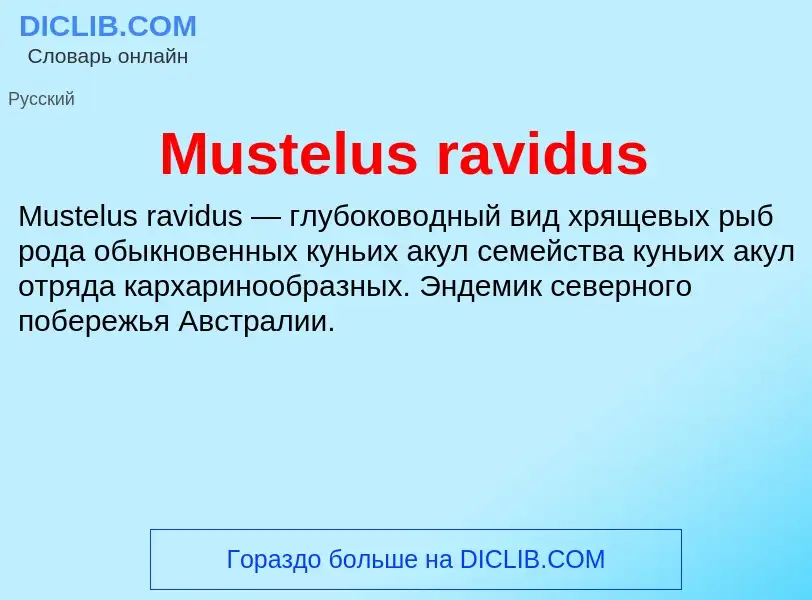 Что такое Mustelus ravidus - определение