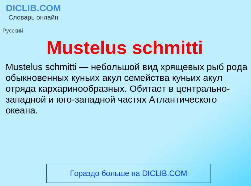 Что такое Mustelus schmitti - определение