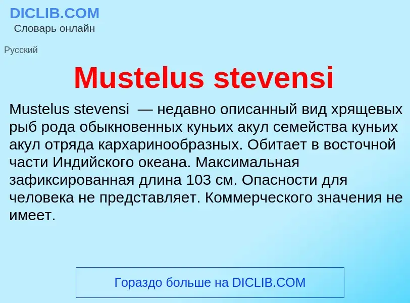 Что такое Mustelus stevensi - определение