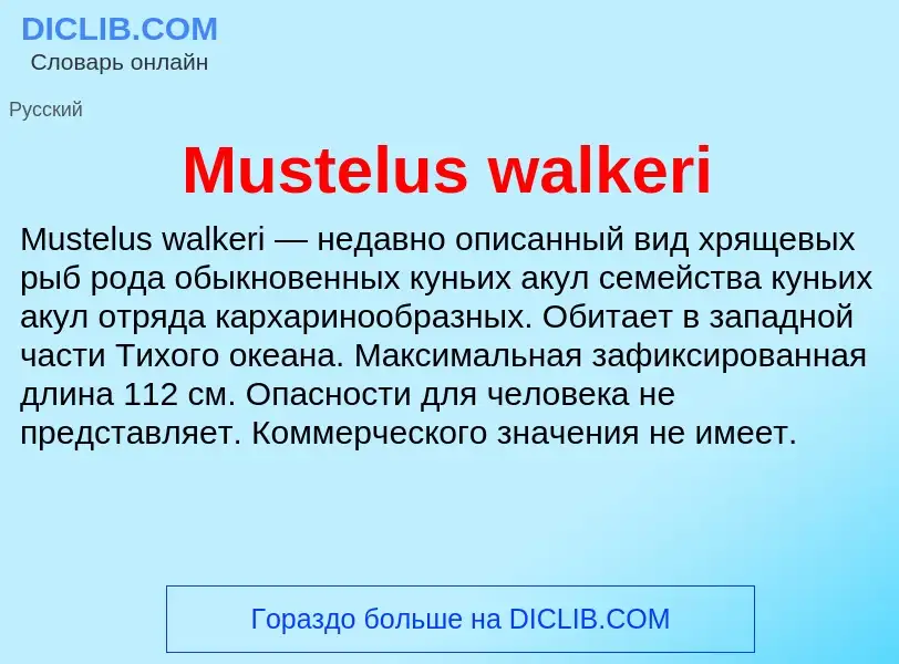 Что такое Mustelus walkeri - определение