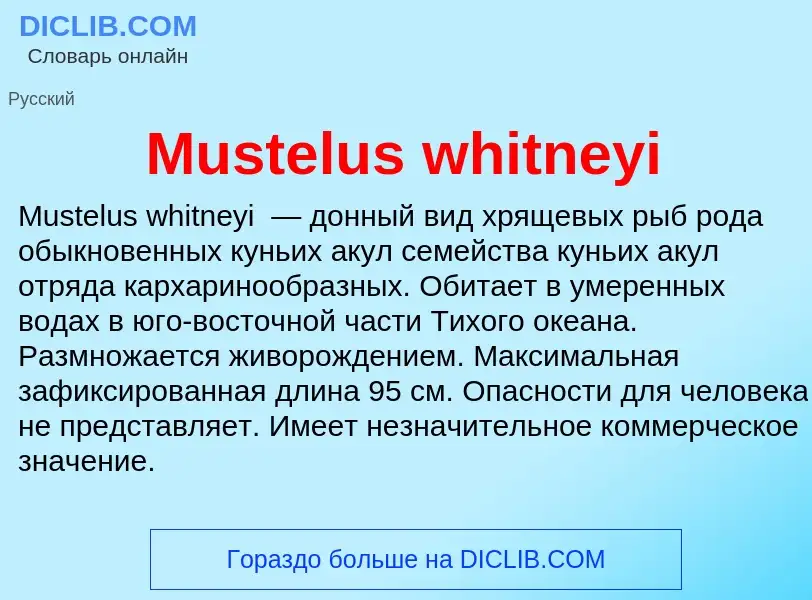 Что такое Mustelus whitneyi - определение