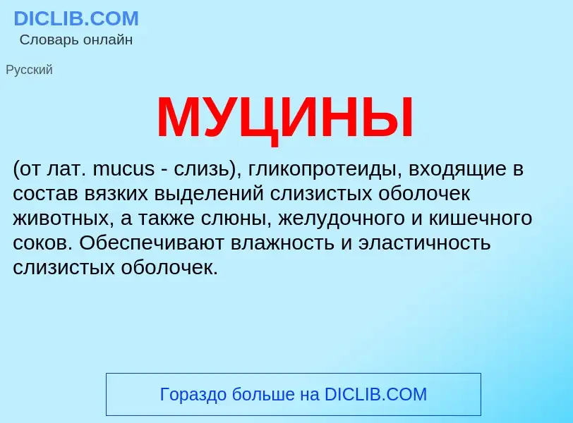 Was ist МУЦИНЫ - Definition