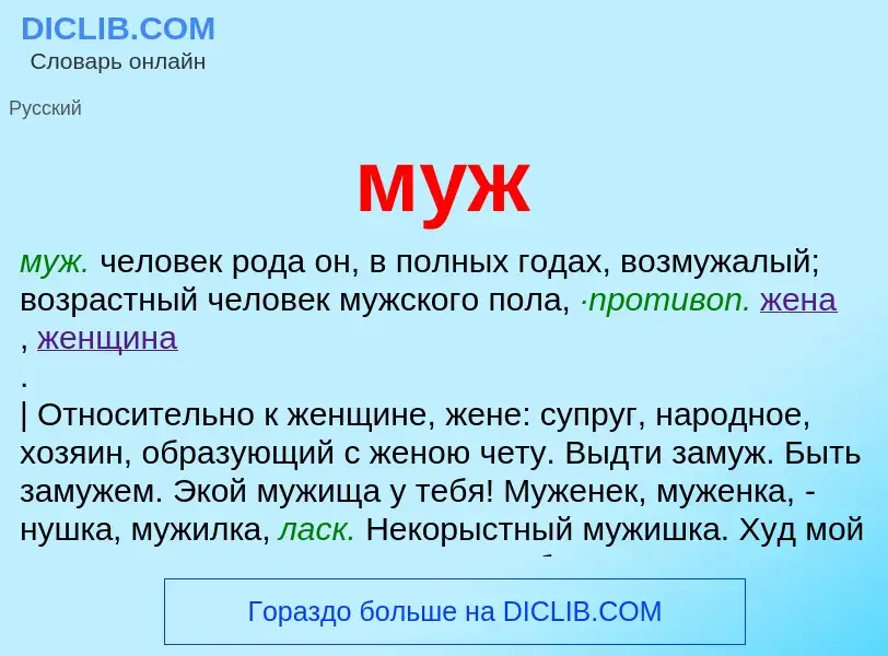 Wat is муж - definition