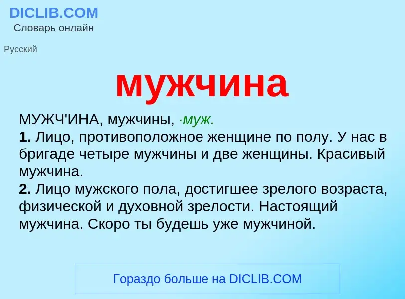 Что такое мужчина - определение