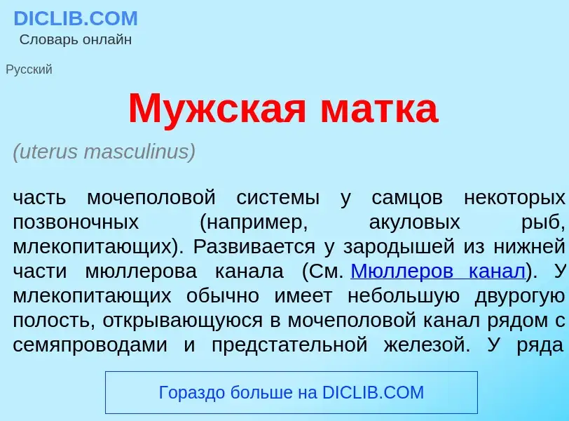 ¿Qué es Мужск<font color="red">а</font>я м<font color="red">а</font>тка? - significado y definición