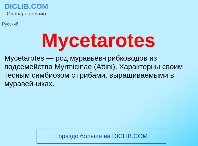 Was ist Mycetarotes - Definition