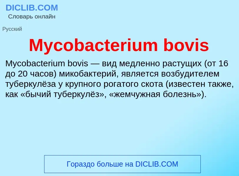 Was ist Mycobacterium bovis - Definition