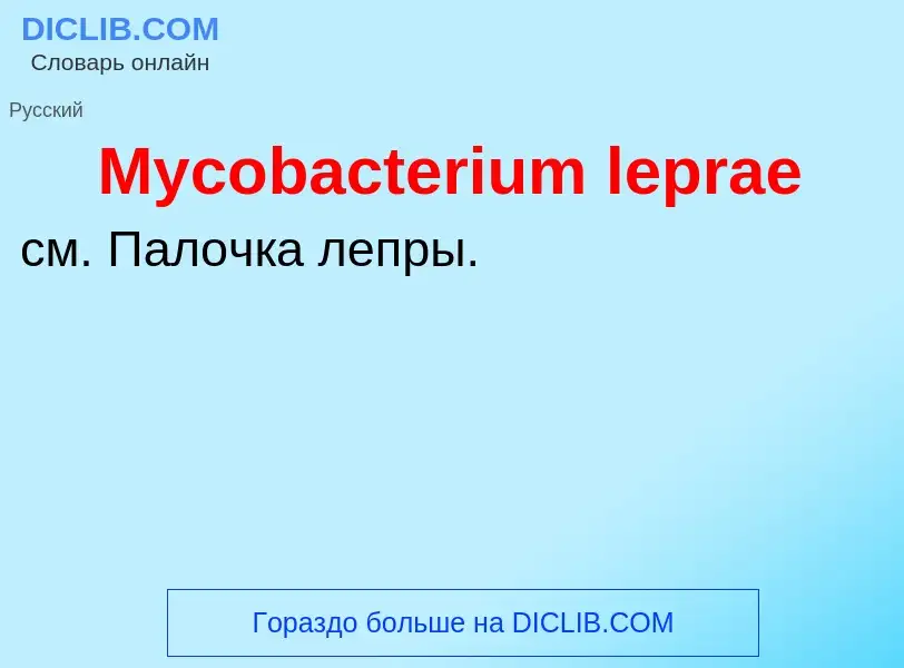 ¿Qué es Mycobacterium leprae? - significado y definición