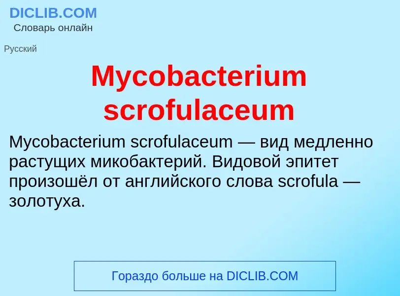 ¿Qué es Mycobacterium scrofulaceum? - significado y definición