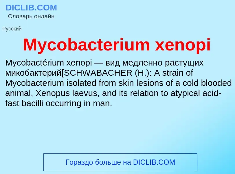 ¿Qué es Mycobacterium xenopi? - significado y definición