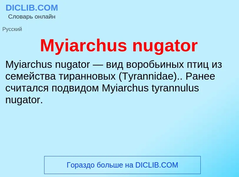 ¿Qué es Myiarchus nugator? - significado y definición